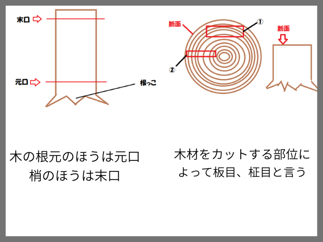 木が木材になるまでの説明