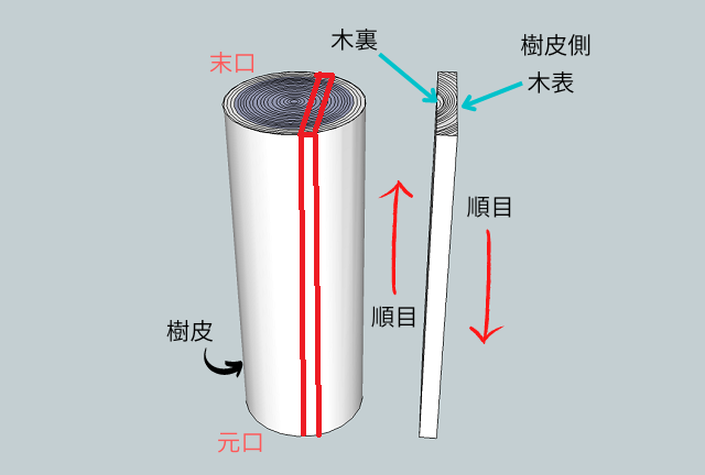 木の仕組み解説画像